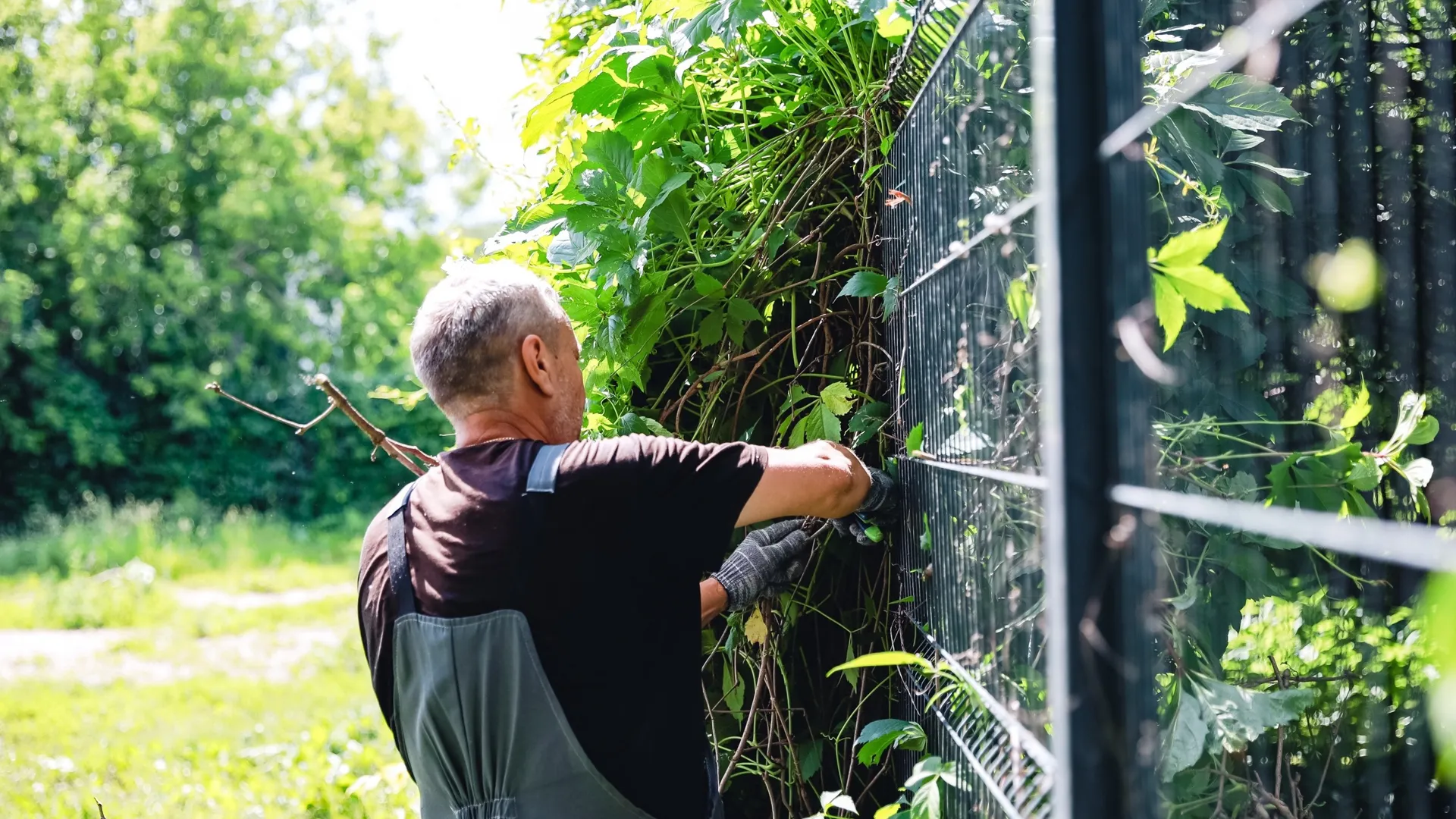 Пресс-служба администрации городского округа Химки