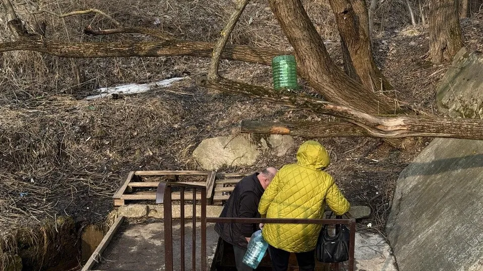 Фото: Анна Сполохова