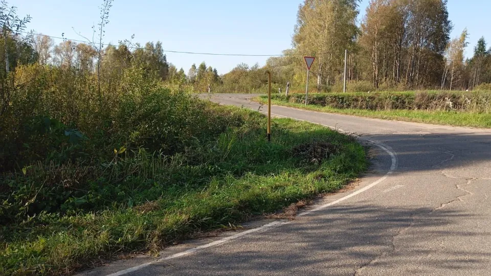 Фото: администрация м.о. Лотошино