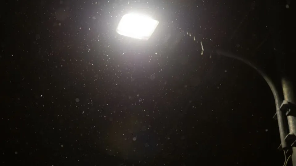 Фото: REGIONS/Владимир Ерастов