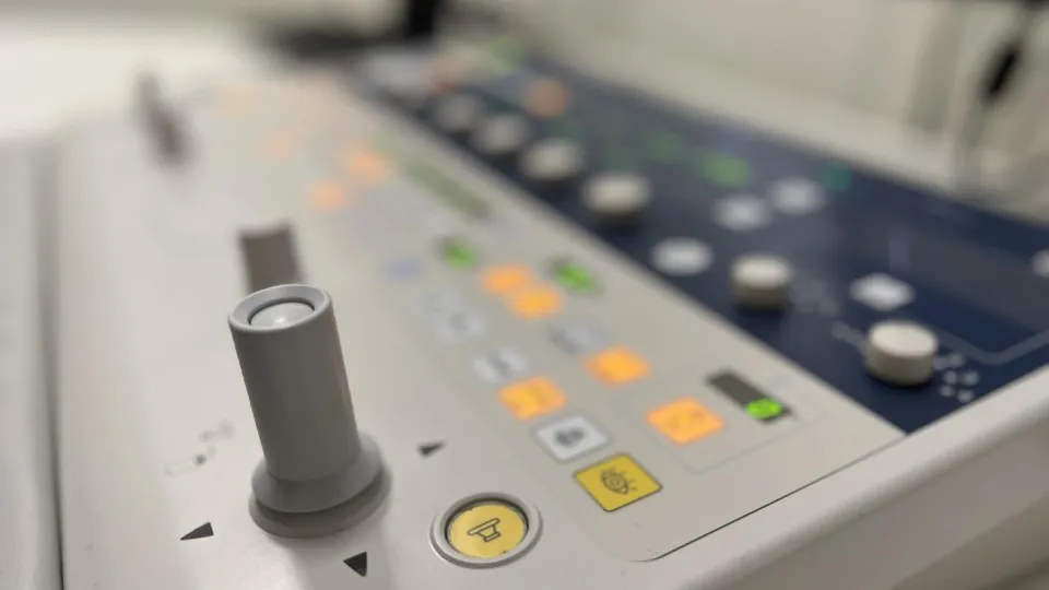 Фото: Кукушкина Елизавета