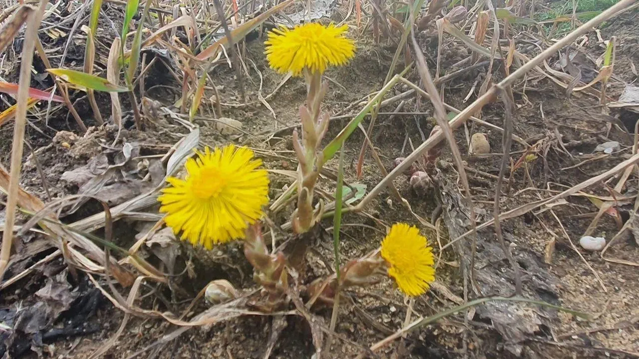 REGIONS/Наталья Надточая