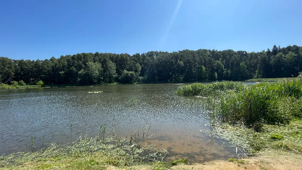 Фото: МедиаБанк Подмосковья/Никита Сморкалов