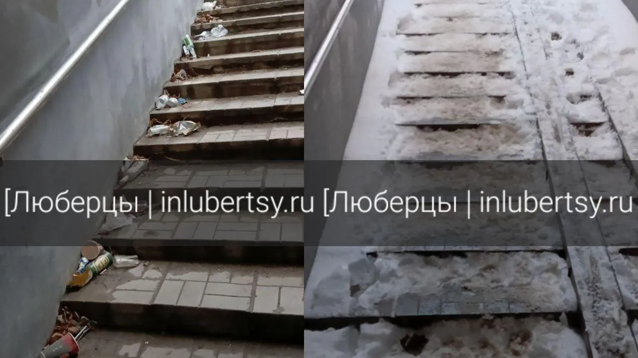 Фото: социальные сети