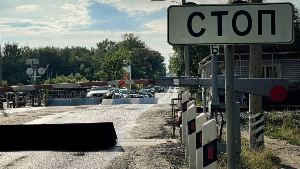 Фото: пресс-служба Администрации г.о. Дмитров