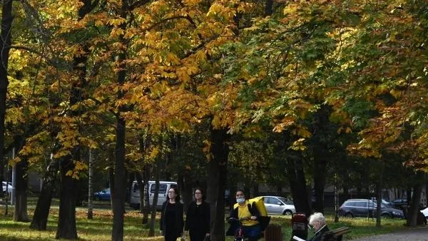 Владимир Федоренко / РИА Новости