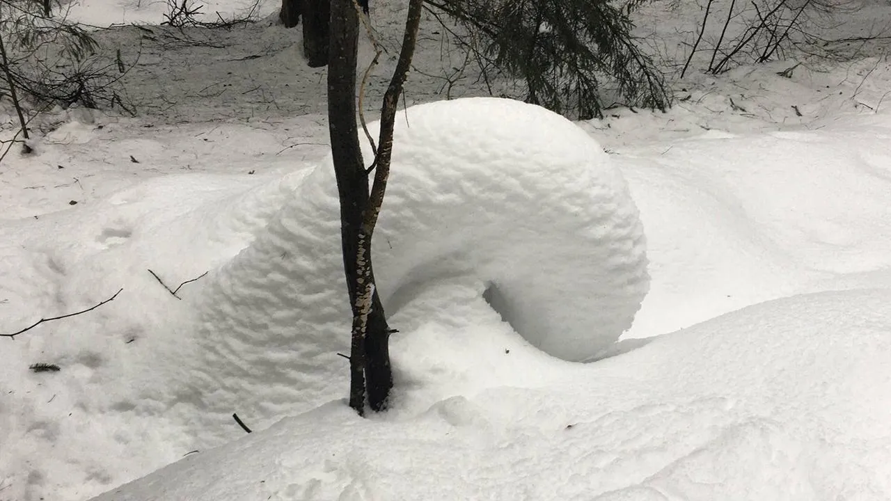 Андрей Синцов