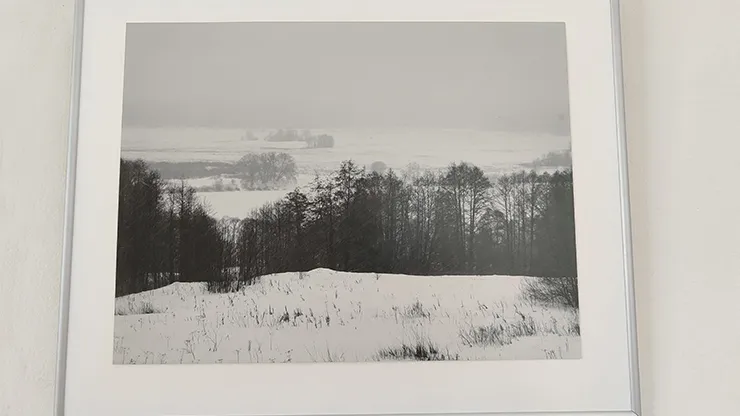 Фото: Ирина Масленникова