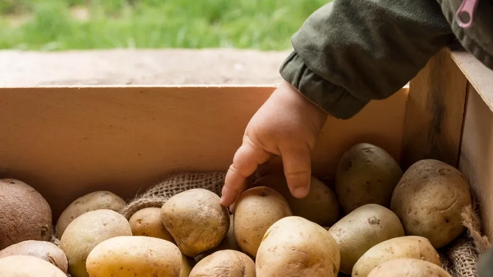 Фото: freepik.com