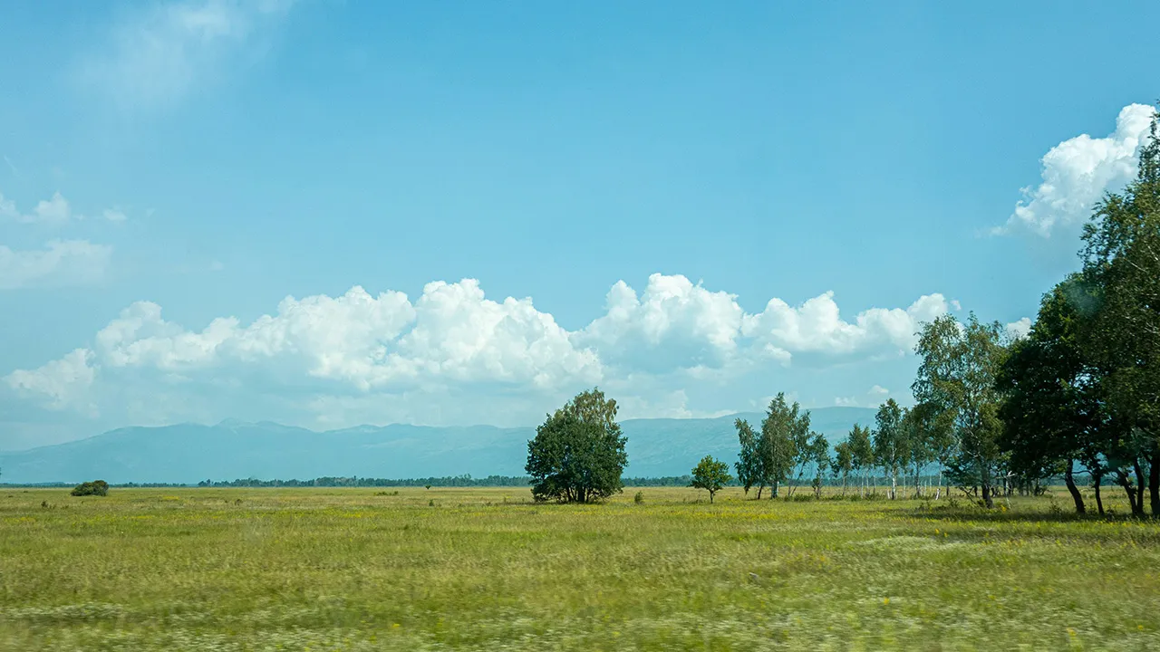 Фото: unsplash