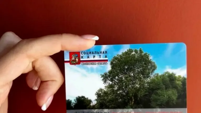 Фото: Министерство социального развития МО