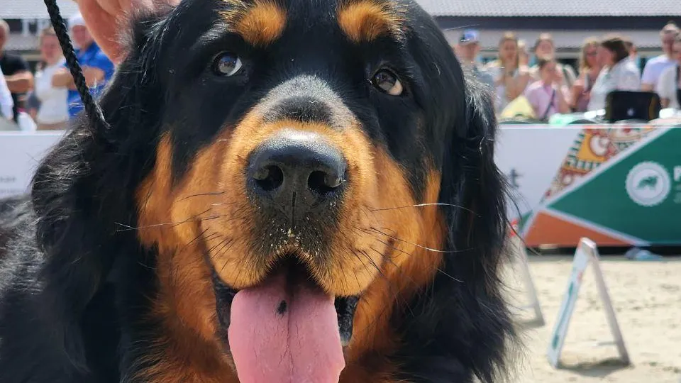 Фото: Евгений Рой