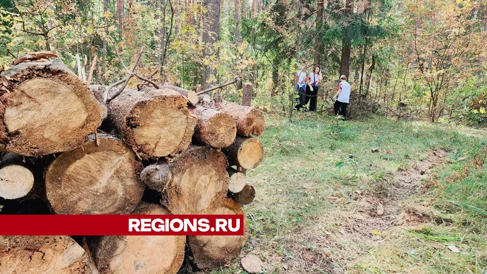 Фото: Юлия Андросова