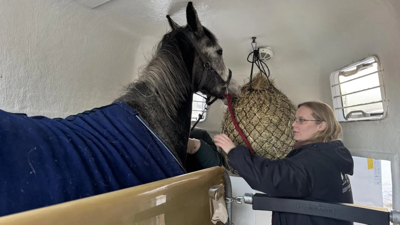 REGIONS/Татьяна Рунова