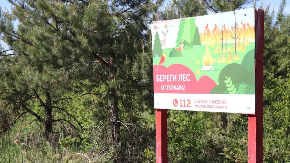 Фото: REGIONS/Василий Тремасов