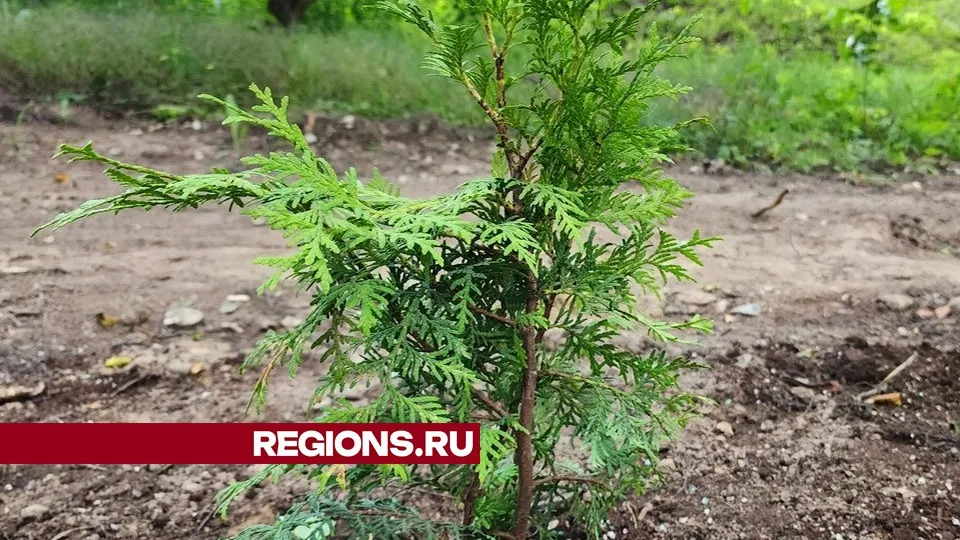 Фото: Юлия Смагринская