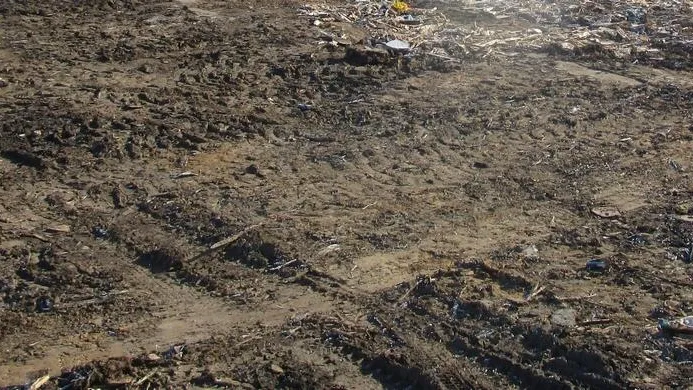 Свалку в 90 кубометров ликвидировали в Дмитровском районе
