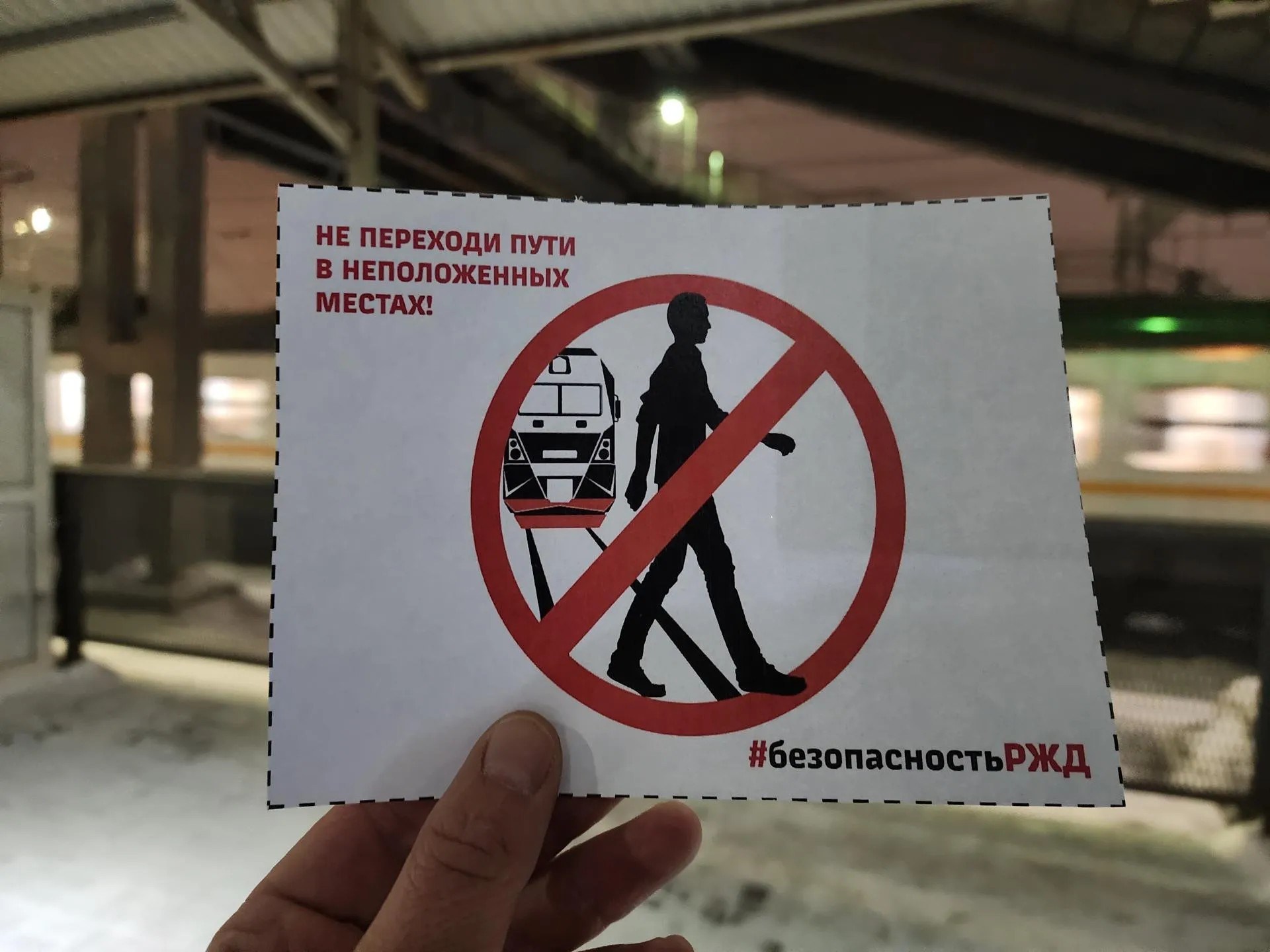 Фото: Никита Сморкалов