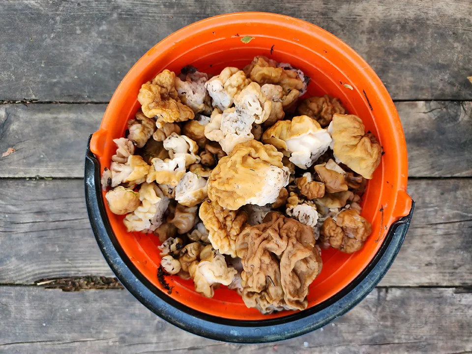 Фото: МедиаБанк Подмосковья/Ксения Пашуто