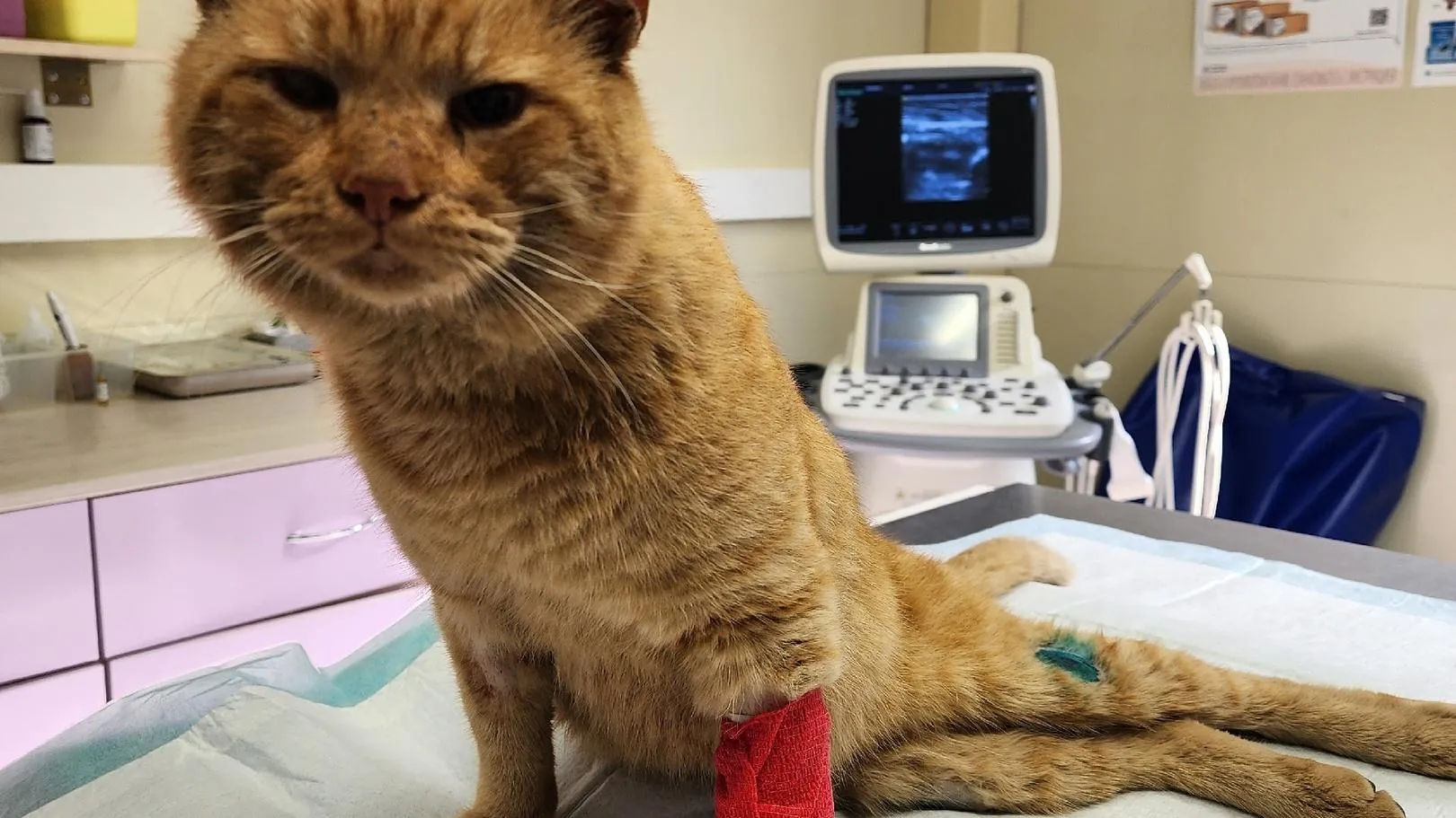 Валентина Максимова