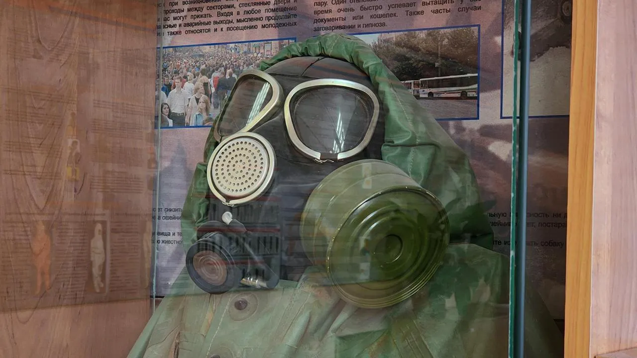 МедиаБанк Подмосковья/Екатерина Данилина