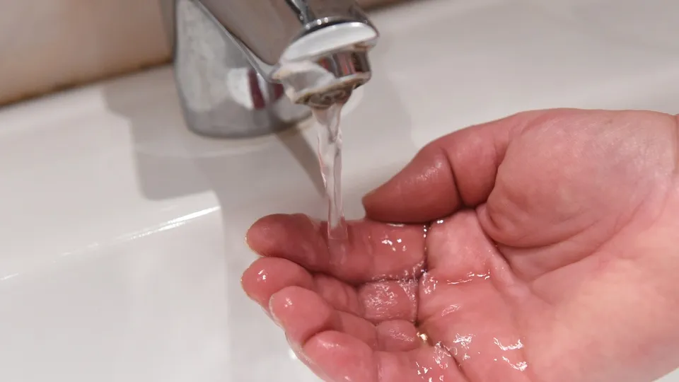 Фото: Медиаархив Подмосковья