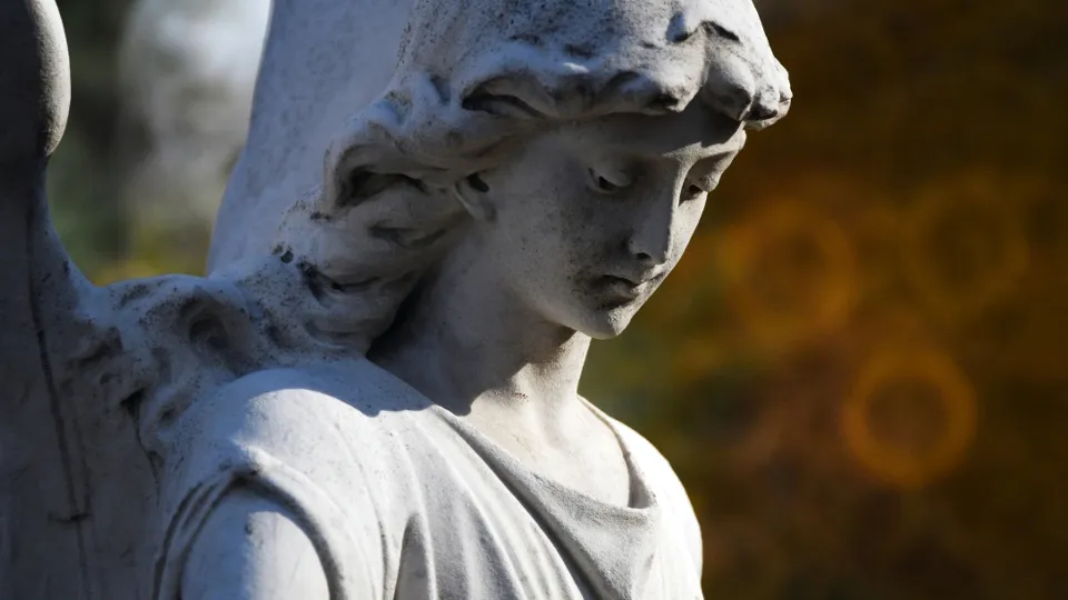 Фото: РИА Новости/Владимир Вяткин