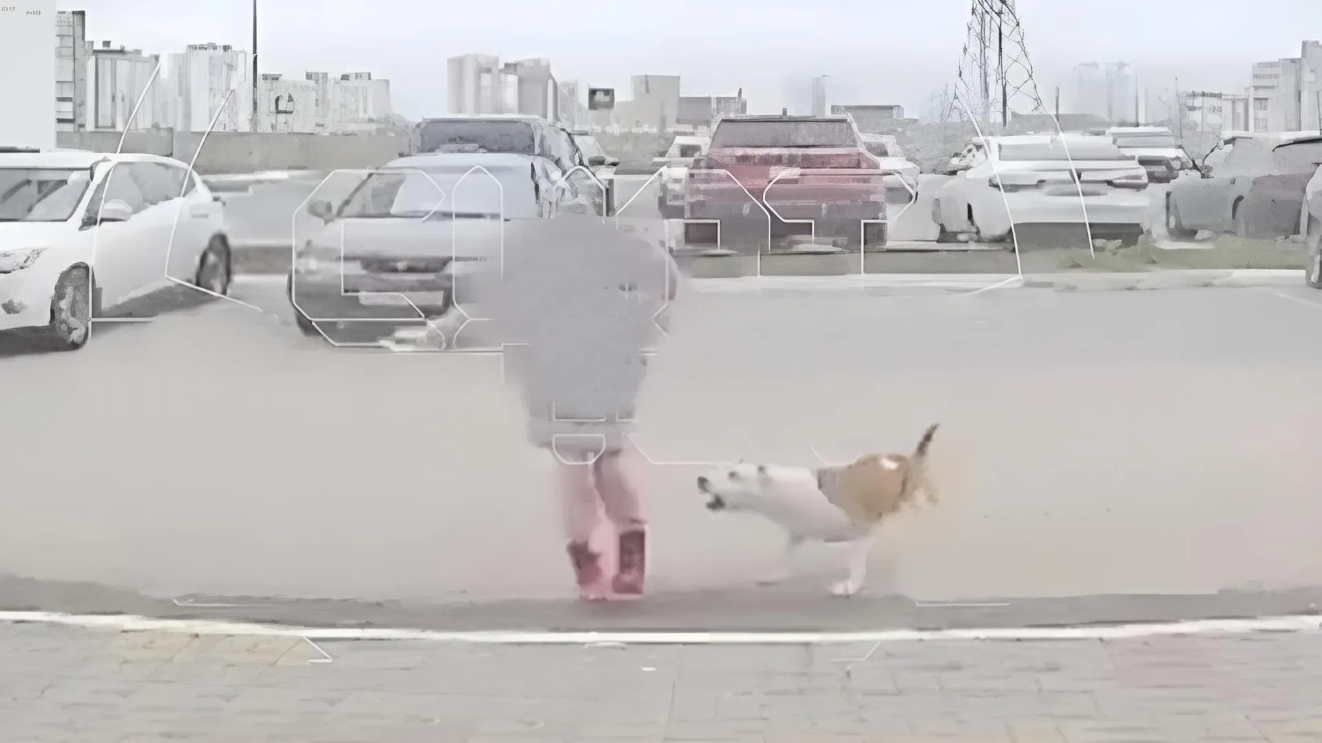 фото: скриншот