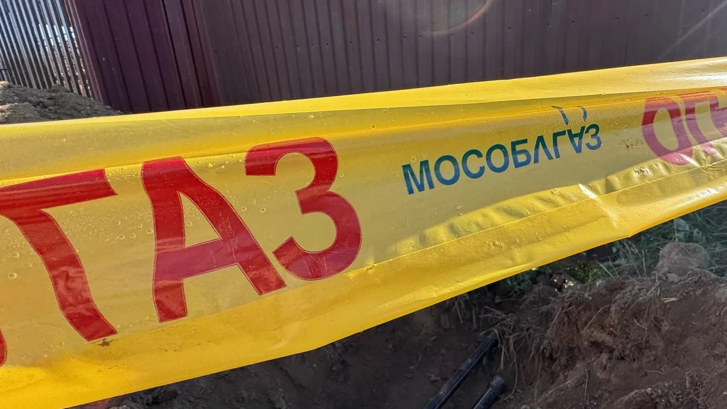 Фото: REGIONS/Татьяна Сташенко