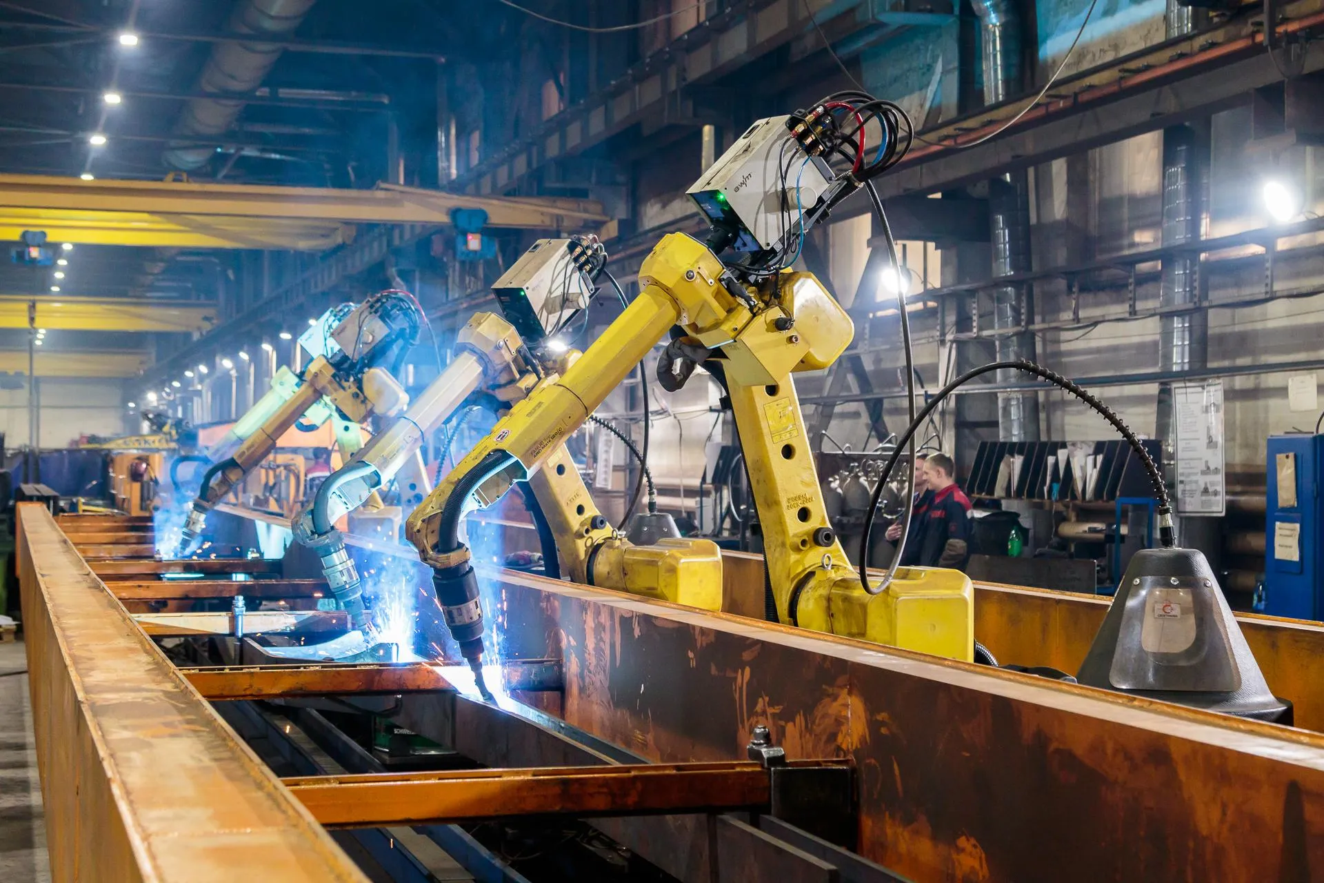 Фото: Антон Чернов