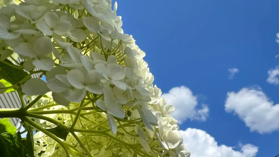 Фото: REGIONS/Елена Фурман