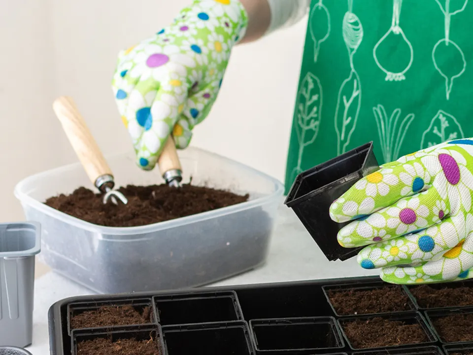 Фото: istockphoto.com/pundapanda