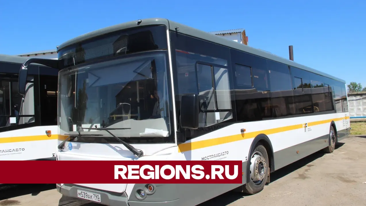 Фото: Regions / Василий Тремасов