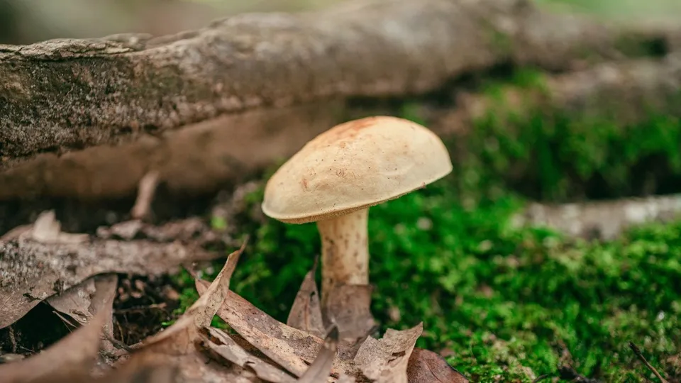 Фото: freepik.com