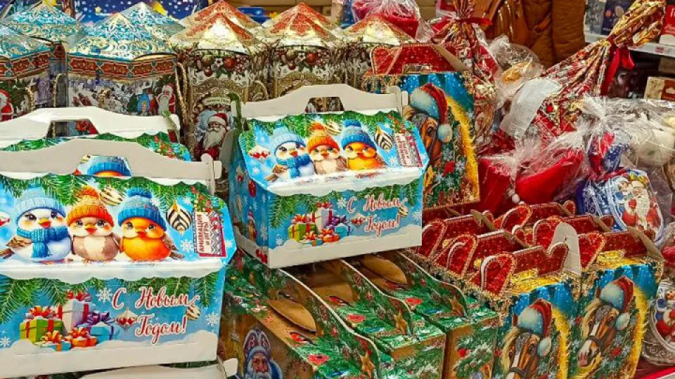 Фото: REGIONS/Эльвира Сафина