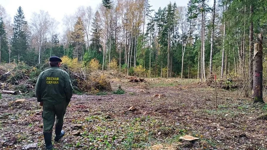 Пресс-служба администрации Одинцовского г. о.