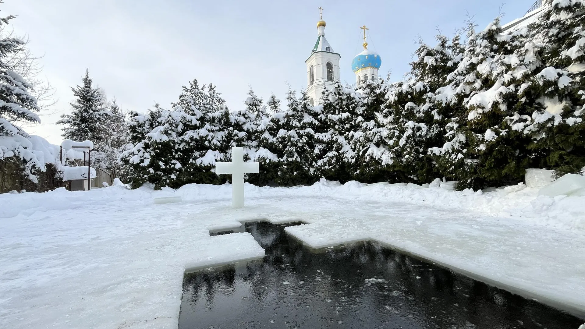 Фото: МедиаБанк Подмосковья/Ангелина Стельмух