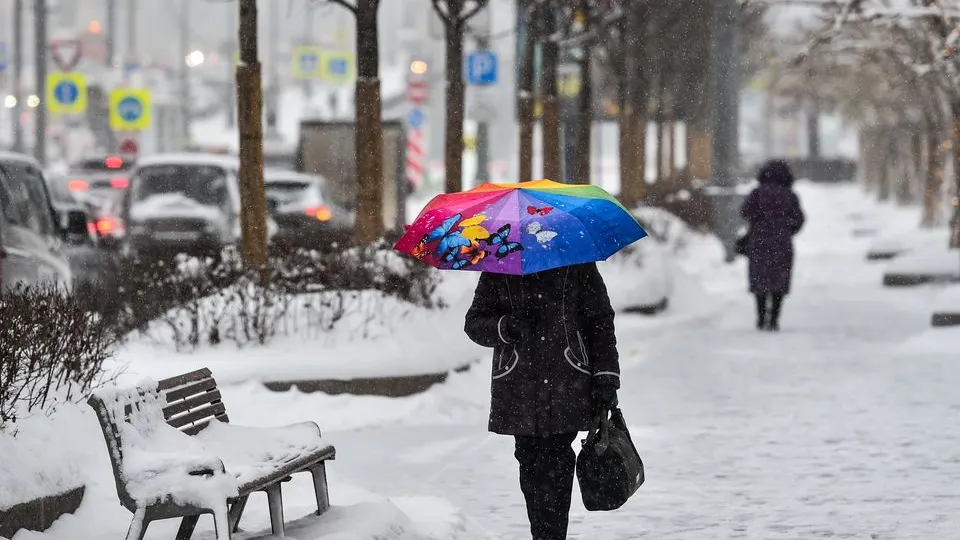 Фото: медиасток.рф