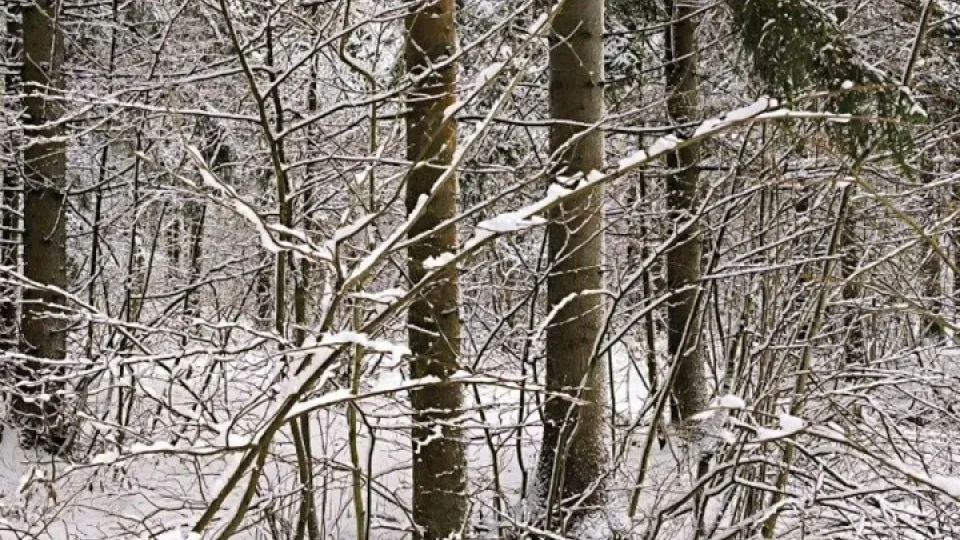 Фото: REGIONS/Роман Малышенко