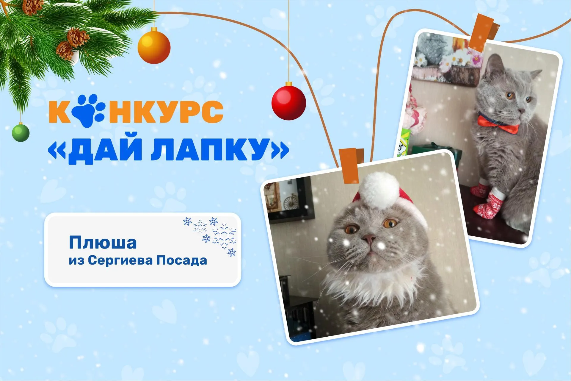 Фото: пресс-служба МинЖКХ МО