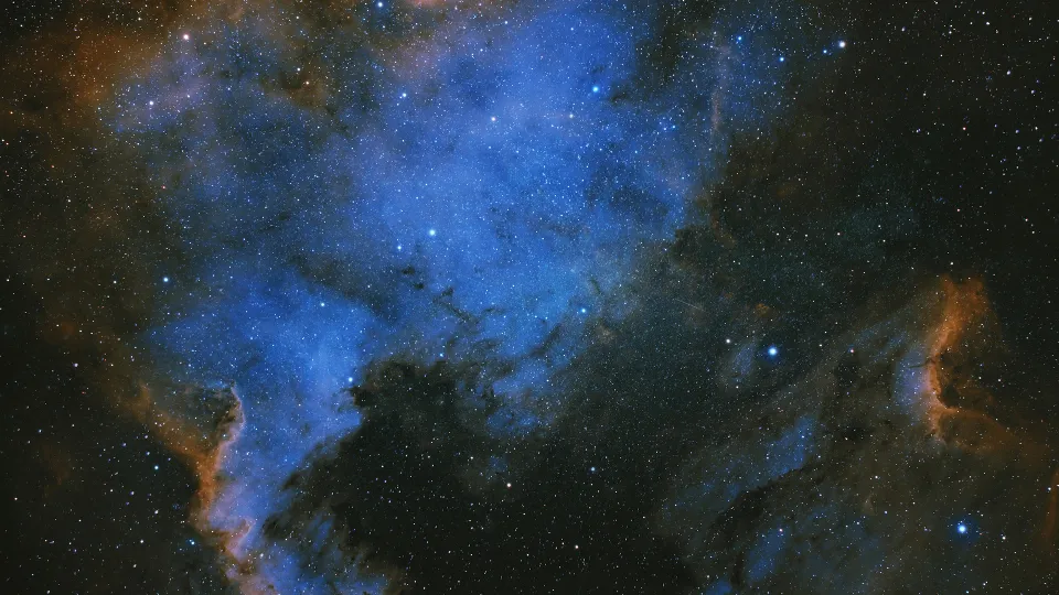 Фото: istockphoto.com/Alones Creative