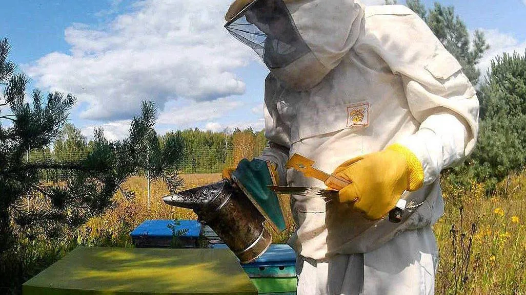 Министерство имущественных отношений МО