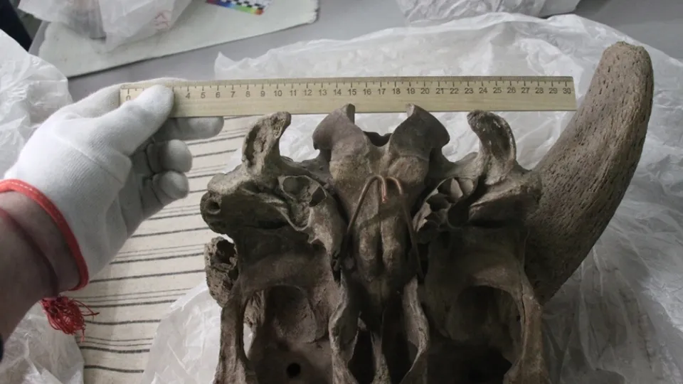 Фото: Коломенский краеведческий музей