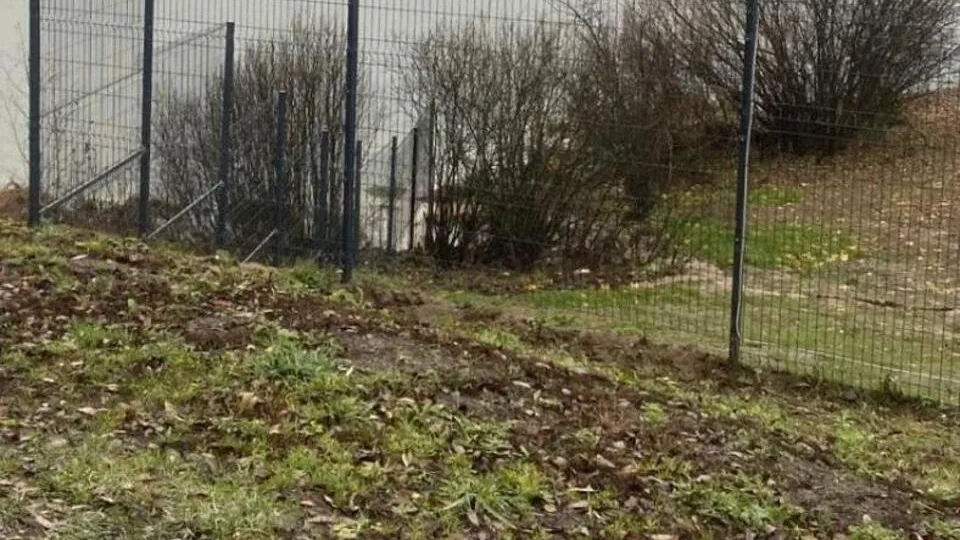 Фото: Министерство экологии и природопользования Московской области