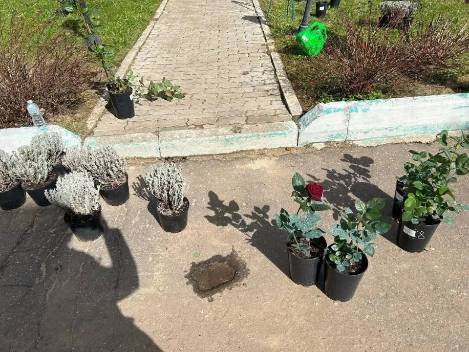 Наталия Надточая