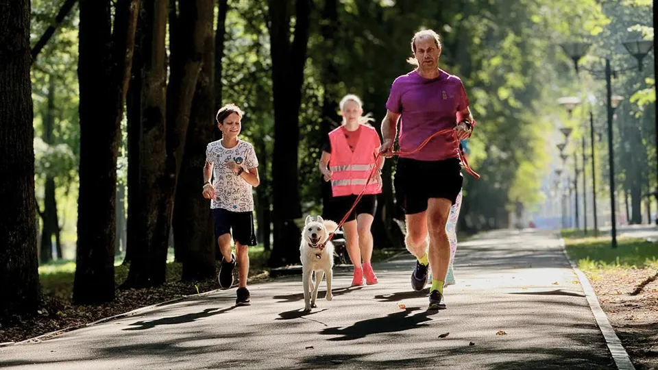 Фото: Министерство благоустройства Московской области