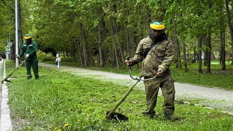 Фото: пресс-служба администрации г.о. Дубна