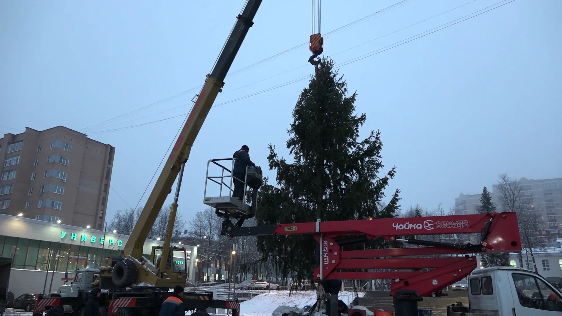 На Центральной площади Красноармейска появилась новогодняя елка