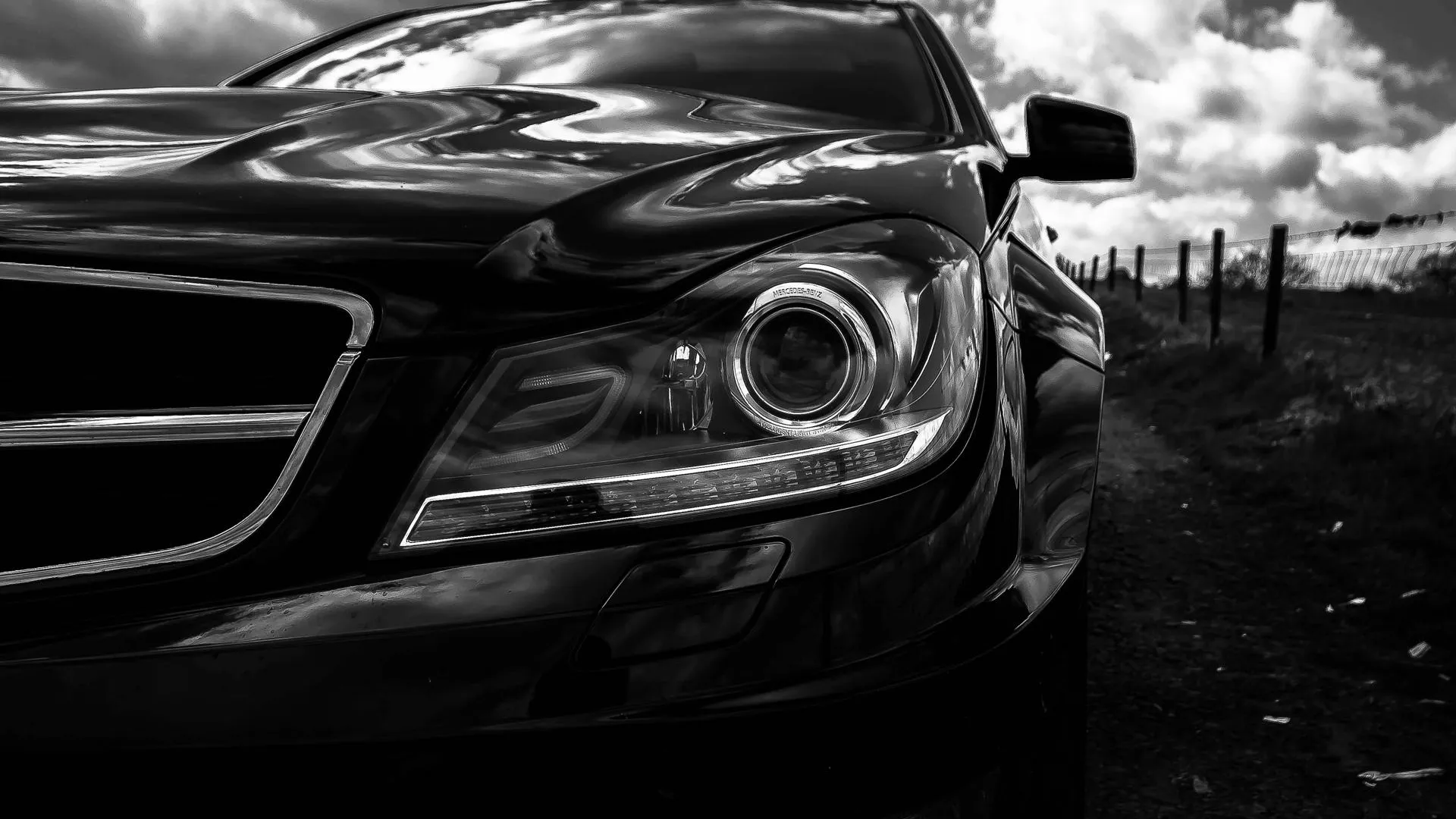 фото: pxhere.com