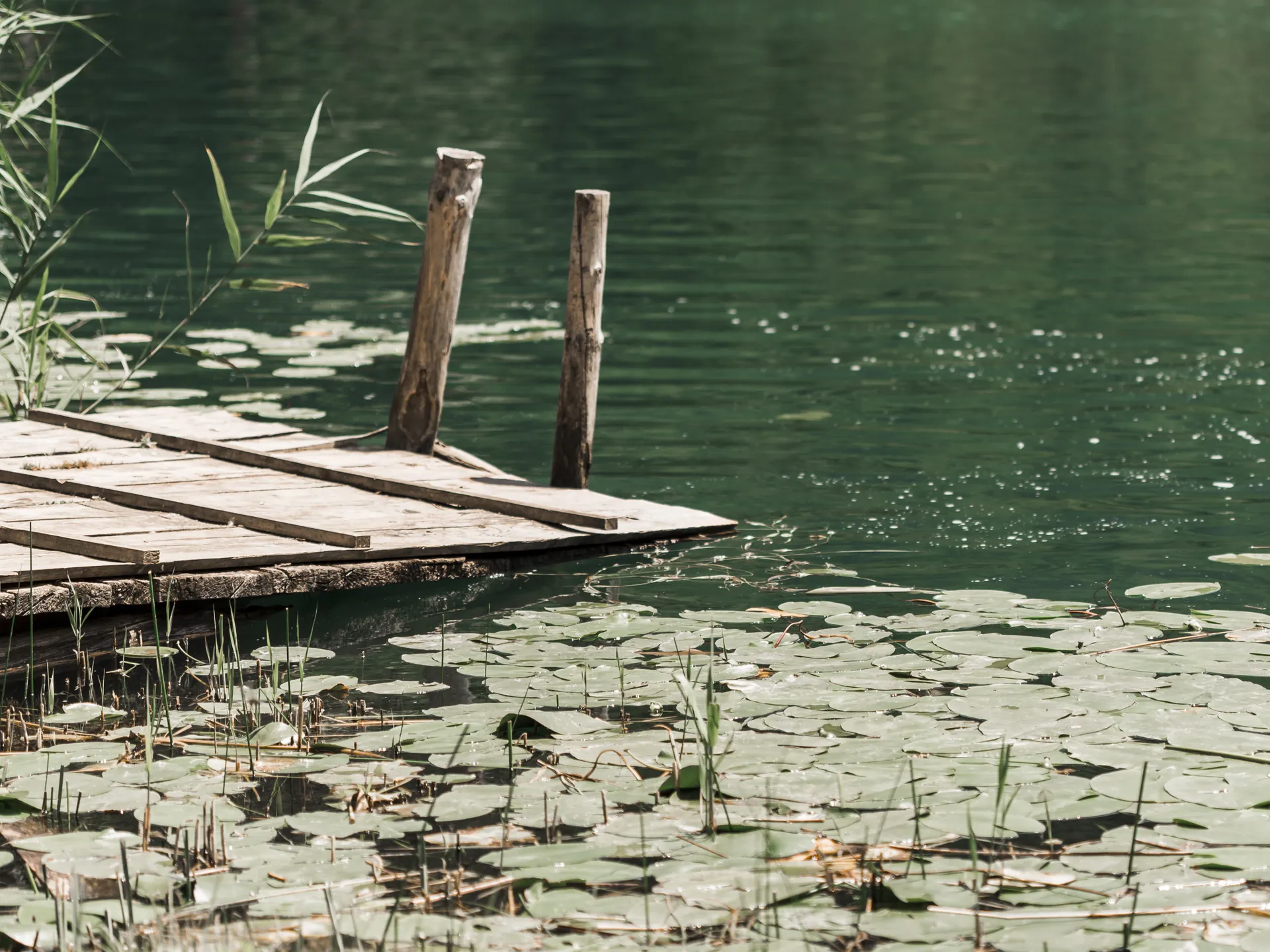 Фото:&nbsp;ru.freepik.com